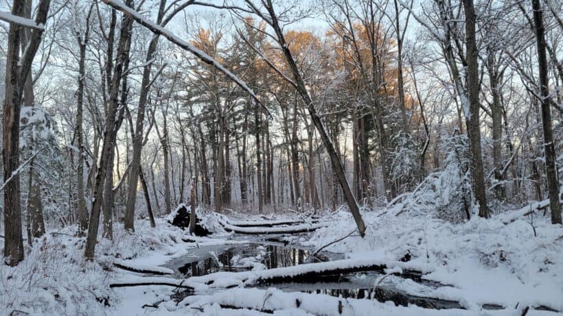shawsheen trail andover mass