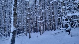pole hill reservation andover