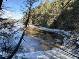 vaughan woods maine