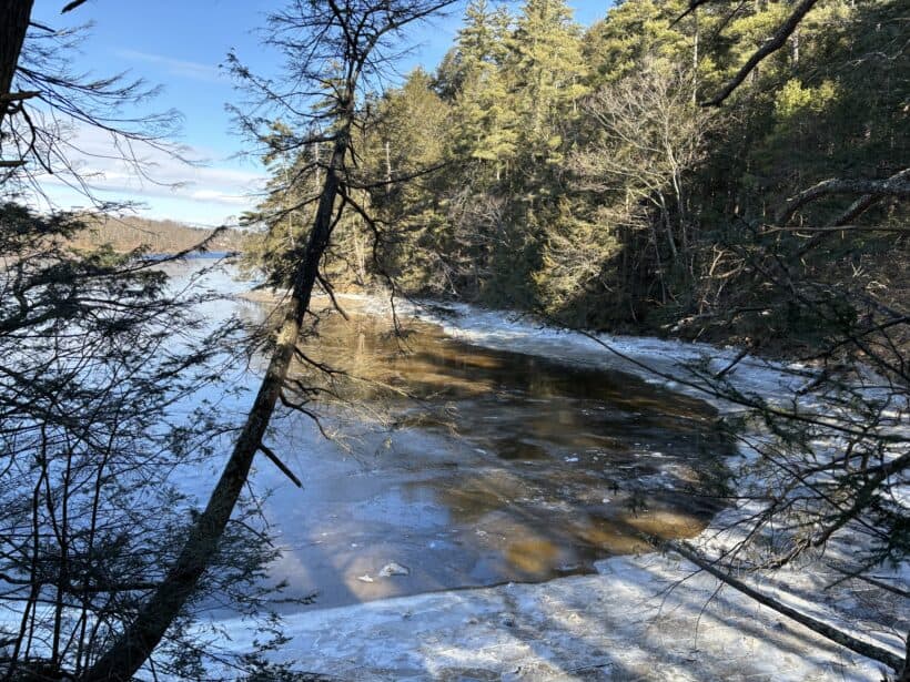 vaughan woods maine