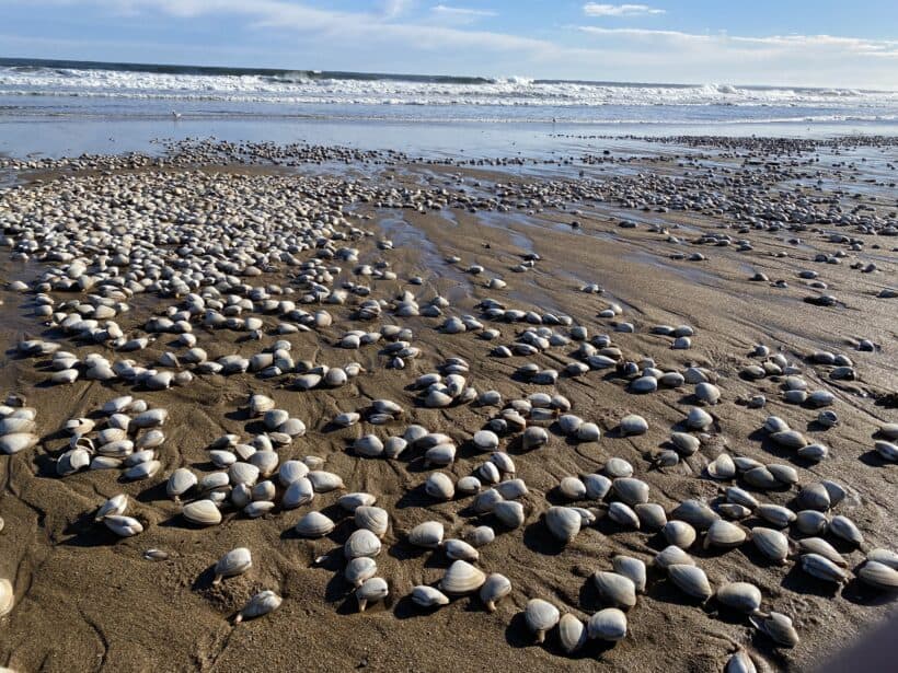 seabrook beach storm rocks