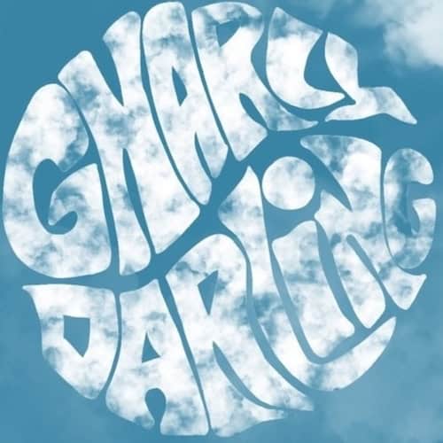 gnarly darling band