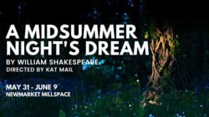 midsummer nights dream newmarket