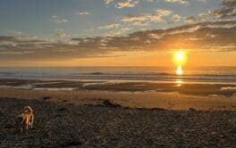 sunrise wallis sands rye