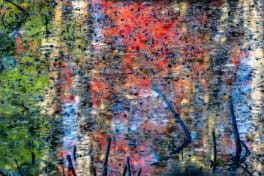 fall foliage newfields nh