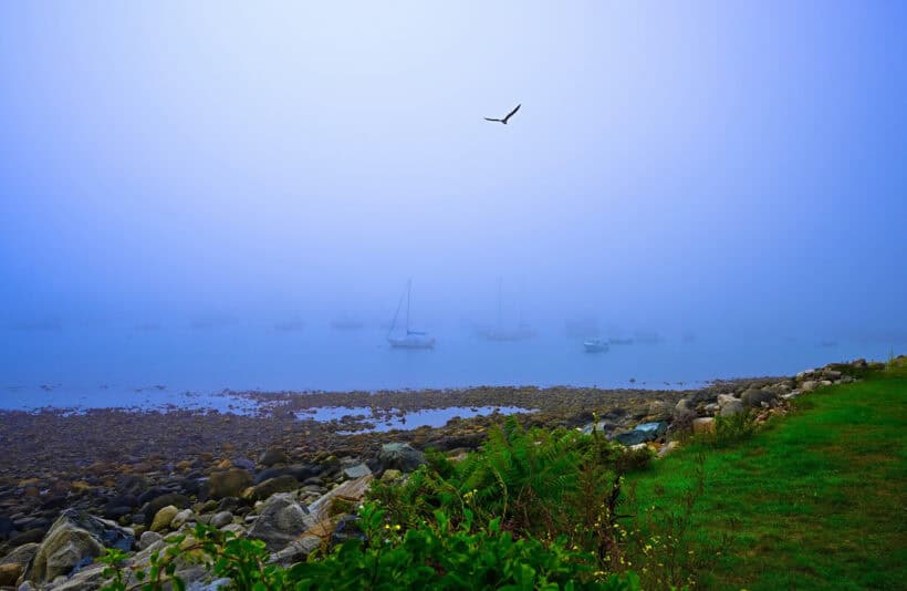 rye harbor nh