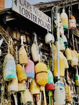 cape neddick lobster pound