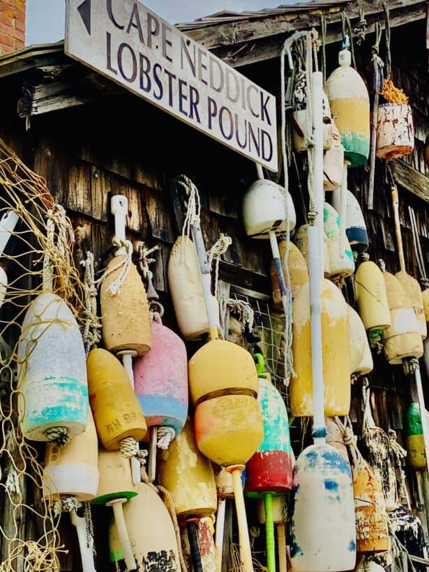 cape neddick lobster pound