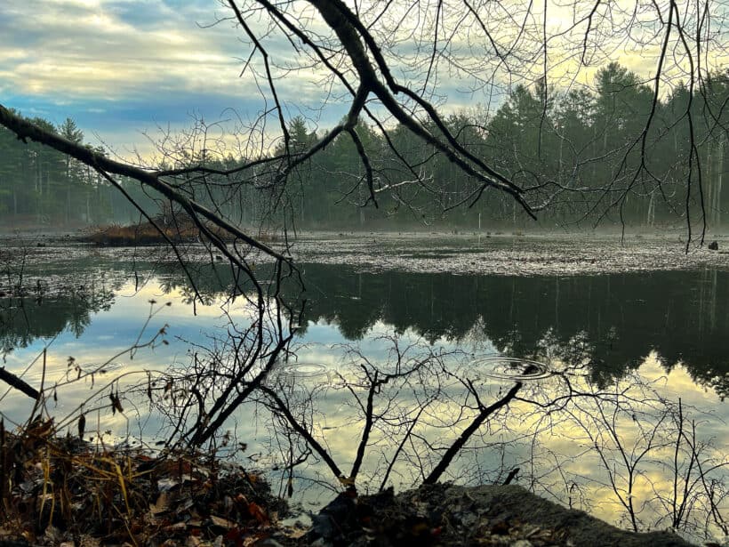 sweet trail durham nh