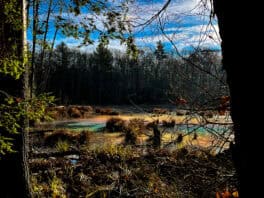sweet trail durham nh