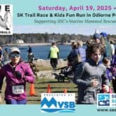 rescue run marine mammals