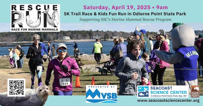 rescue run marine mammals