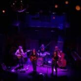 foxglove band