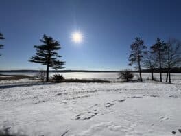 moody point newmarket nh