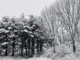winter portsmouth nh