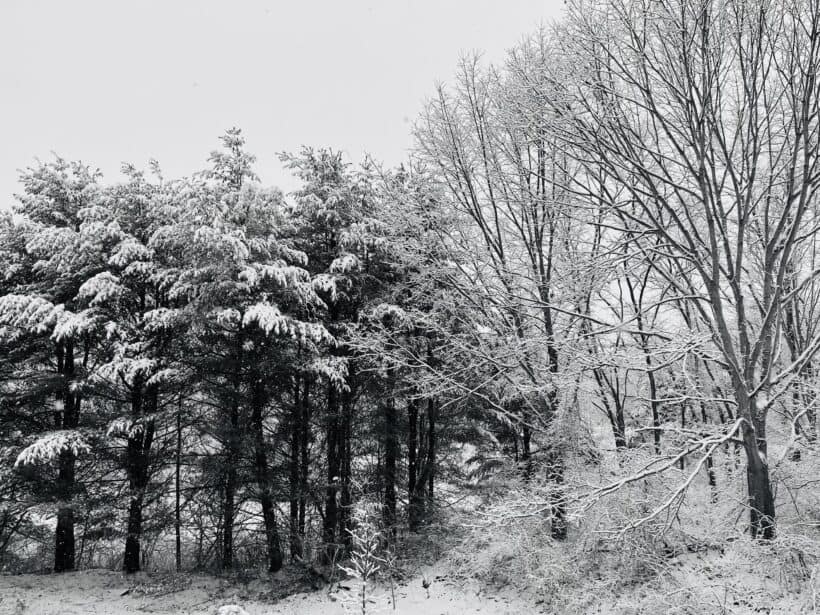 winter portsmouth nh