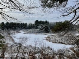 winter wetland portsmouth nh