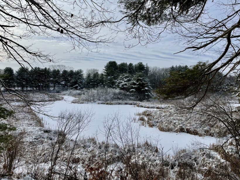 winter wetland portsmouth nh