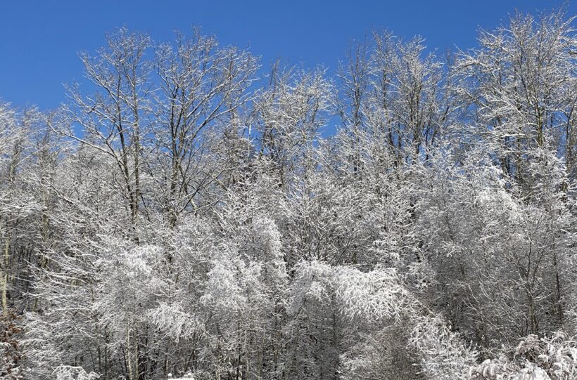 winter newmarket nh snow