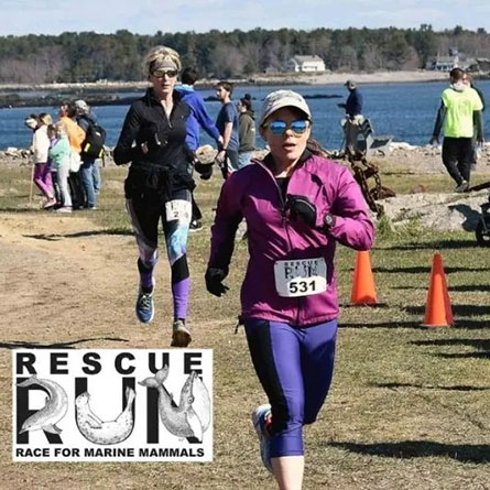 rescue run marine mammals