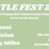 turtlefest stone church