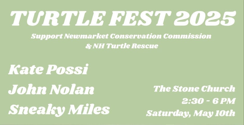 turtlefest stone church
