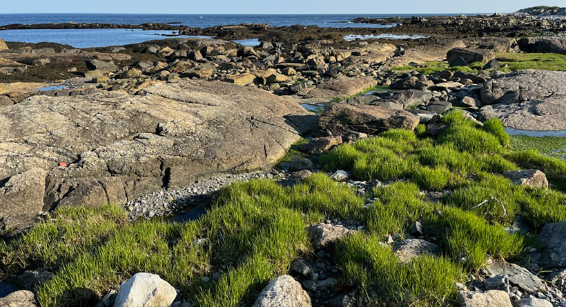 rye beach nh spring