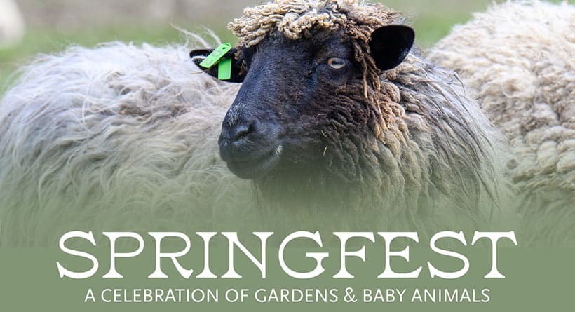 springfest strawbery banke portsmouth