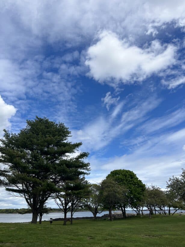 great island new castle
