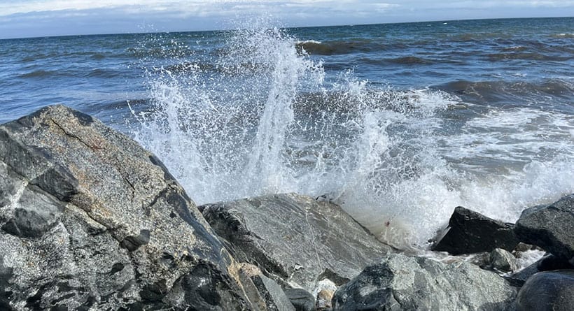 waves rye nh