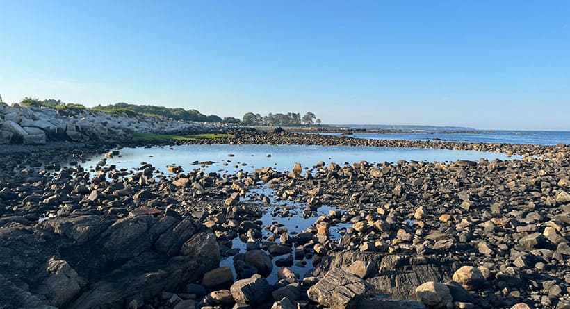 tide pool rye nh