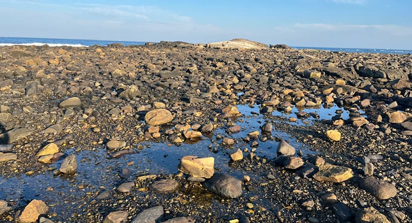 low tide rye nh