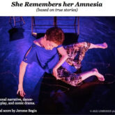 janis brenner dance hall