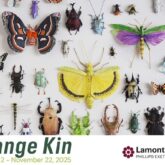 strange kin lamont gallery