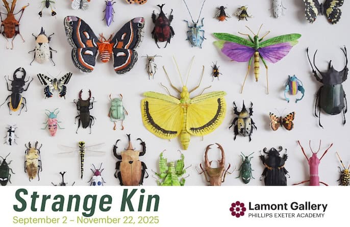 strange kin lamont gallery