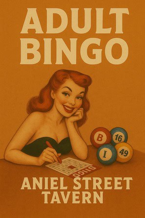 adult bingo daniel street