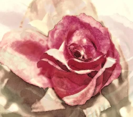 portsmouth pro musica december