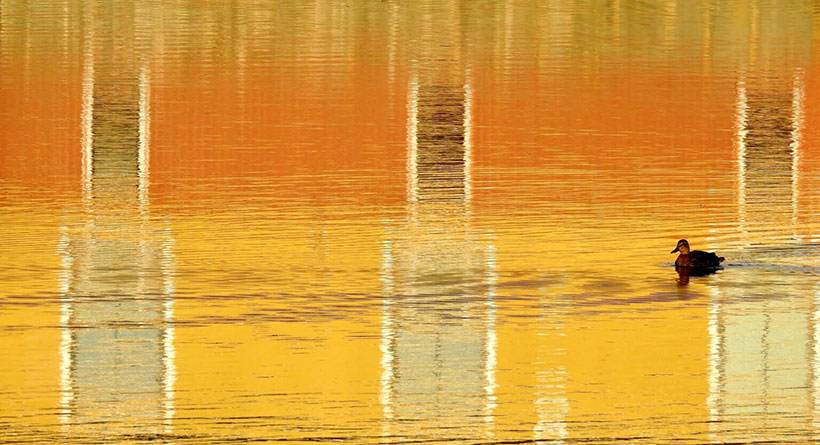 exeter river duck nh