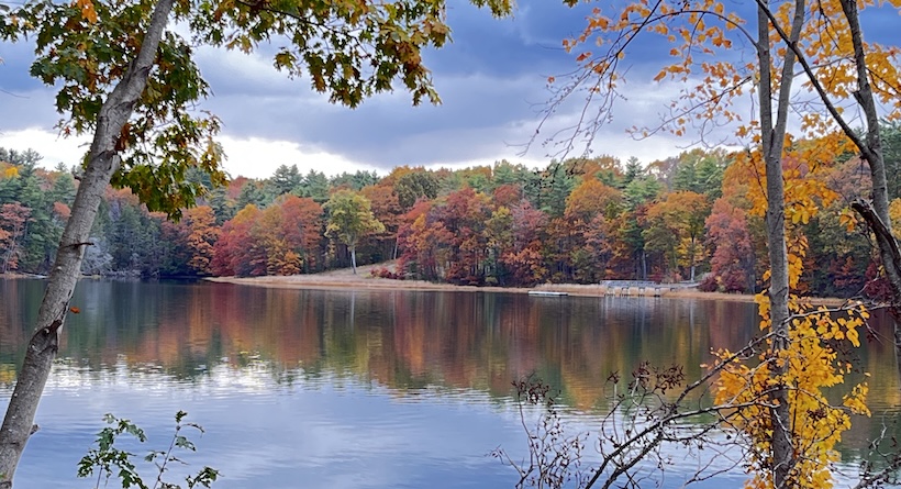 salmon falls south berwick