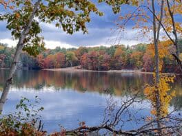 south berwick salmon falls