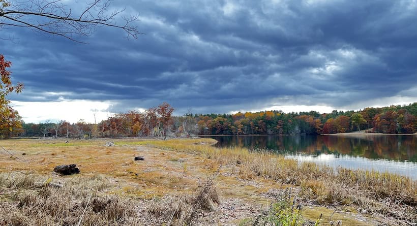 salmon falls south berwick
