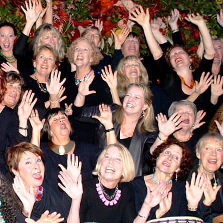 voices from the heart