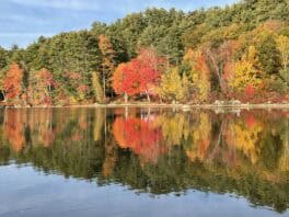 lake winnipesauke