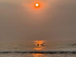 sunrise surf jenness beach