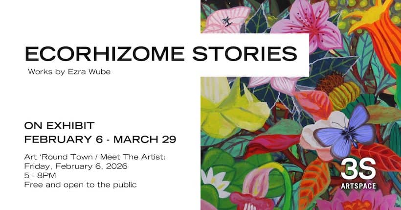 ecorhizome stories 3s artspace