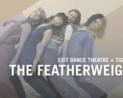 featherweight 3s artspace