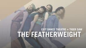 featherweight 3s artspace