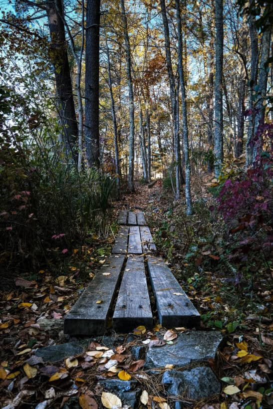 sweet trail newmarket nh