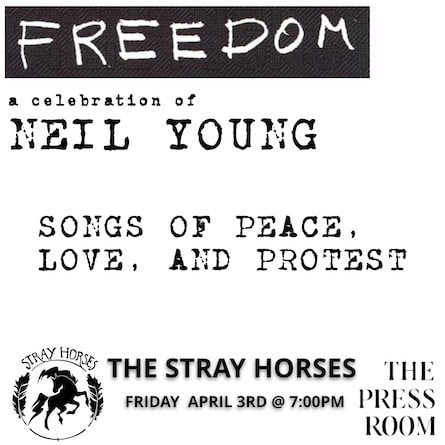 stray horses press room