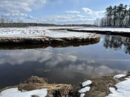 rachel carson wells maine